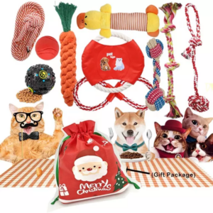 Pet Toy Gift Set